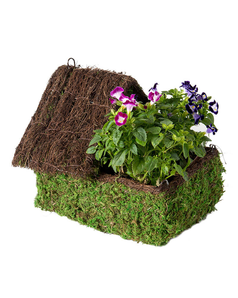 Maison Plantable Birdhouse - Image 2